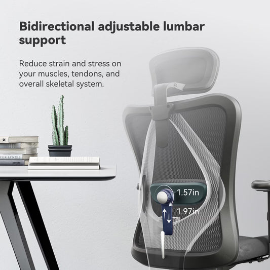 M18 Mesh Ergonomic Office Chair with Adjustable Lumbar Support, High Back, Black
